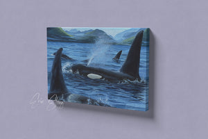 Orca Family - Canvas Print