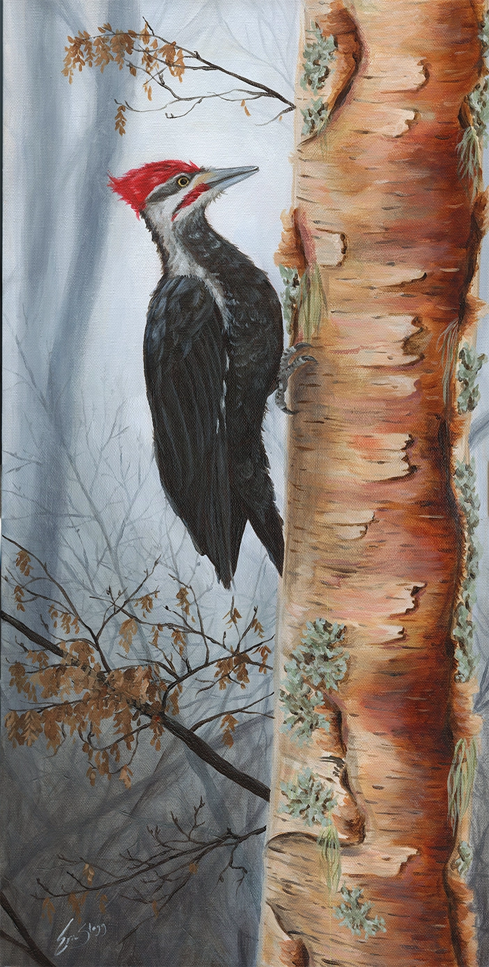 Pileated Woodpecker - Original Painting