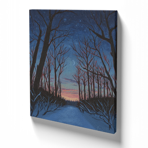 Winter Among the Cottonwoods - Canvas Print