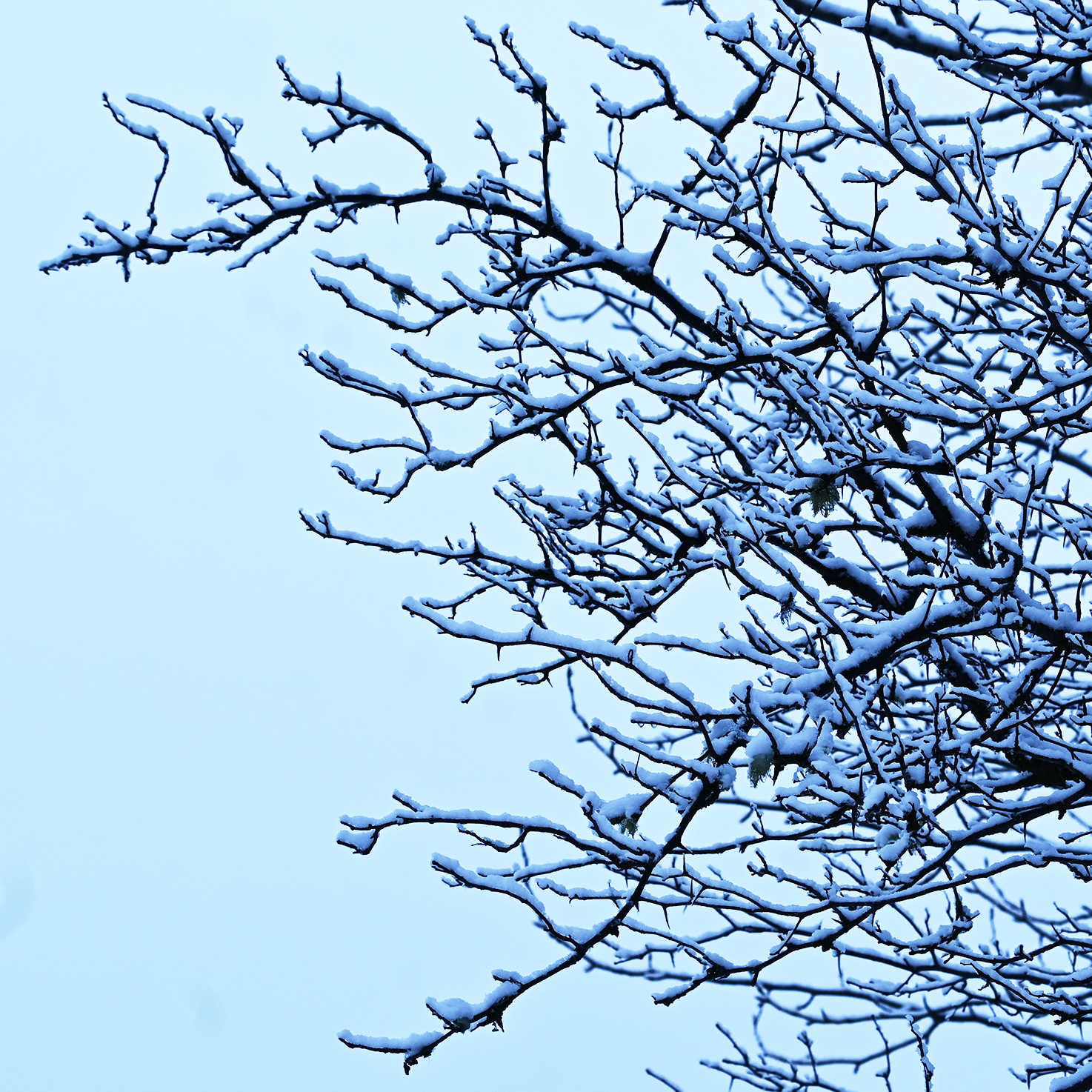 Why I'm Embracing Rest