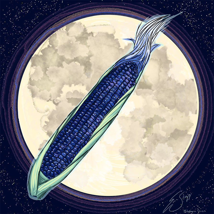 Teachings of Mdaamin Giizis or the Corn Moon