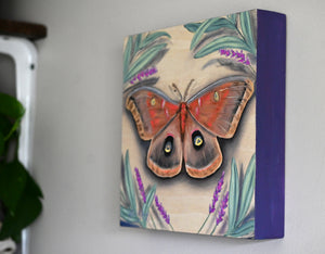 Polyphemus Moth - Original Painting