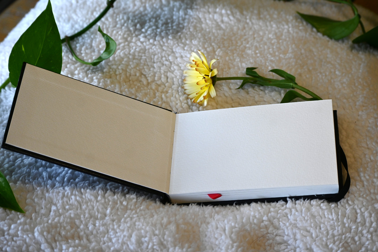 Mini Watercolour Books