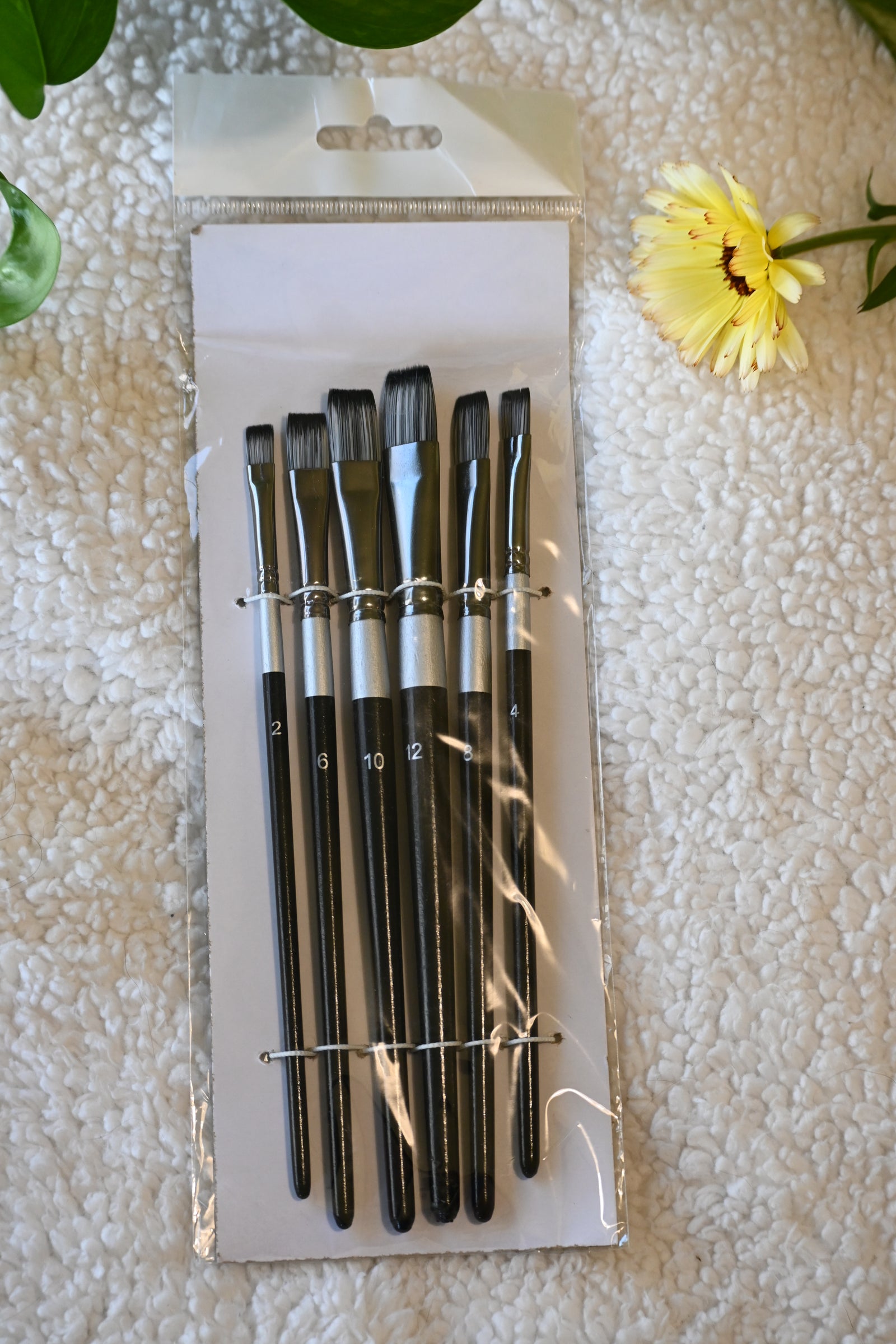 Brush Set of 6
