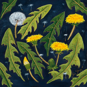 Dandelions