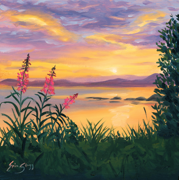 Fireweed Sunset - Fine Art Prints