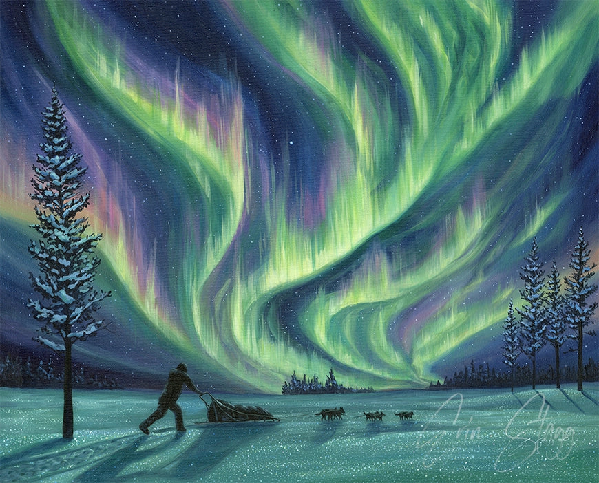 Guided By the Lights - Fine Art Prints