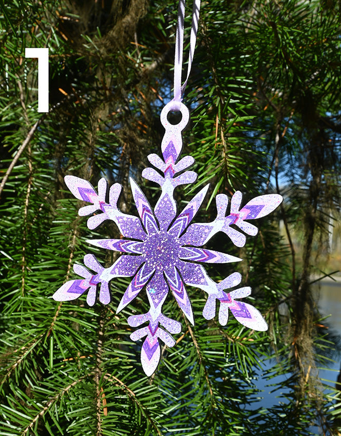 Snowflake Ornaments 2025