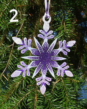Snowflake Ornaments 2025