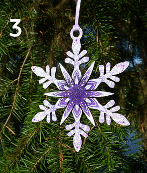 Snowflake Ornaments 2025