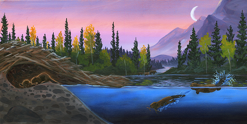 Beaver at Sunset - Original Painting