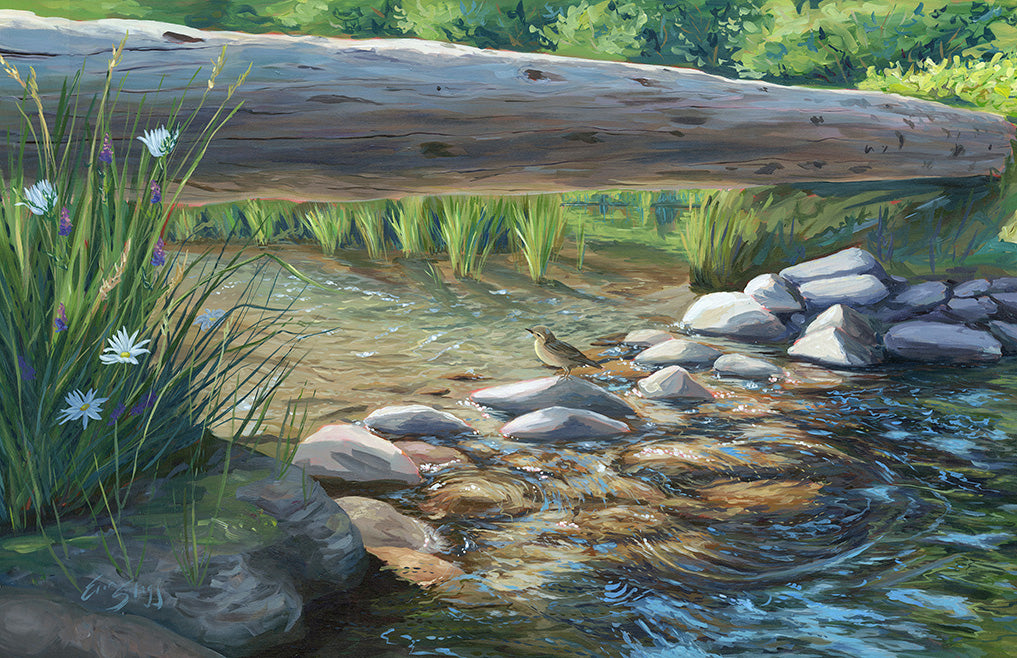 Cool Down - Poster Prints *Clearance*