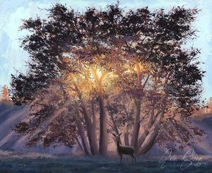 Midsummer Dawn - Canvas Print