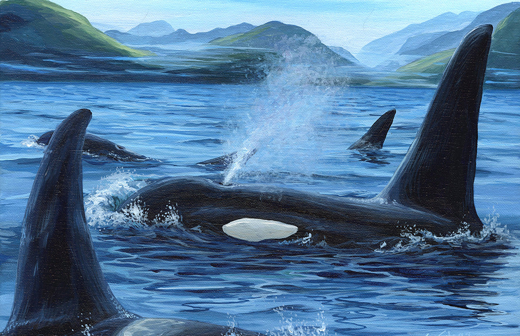 Orca Family - Poster Prints *Clearance*
