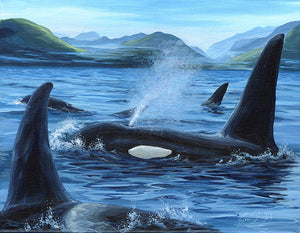 Orca Family - Giclée