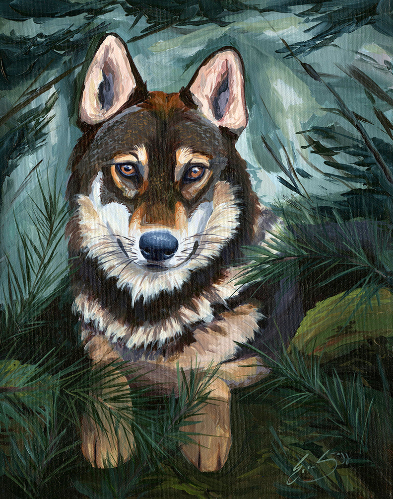 Timber Wolf - Original Painting